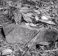 江西奉新荒郊藏匿抗战将士公墓 九成是湘籍