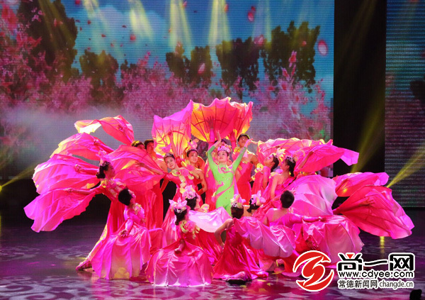 常德市隆重纪念丁玲同志诞辰110周年