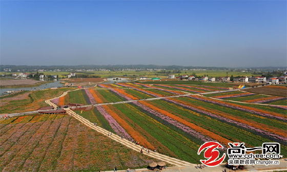 市民海边捡巴掌大 奇石  上有 熊猫  图案 -尚一网