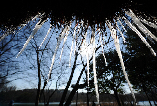 杭州: 寒潮发力 西湖结冰 -尚一网-新闻