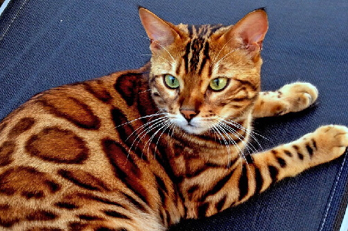 南方高温消退降雨来袭 台风未来几日或入东北