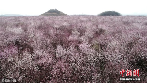 范冰冰收入来源_博物馆收入来源(3)