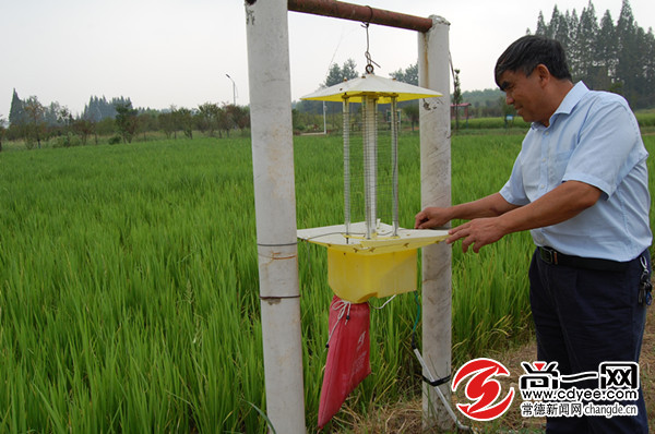 9108水稻施肥管理方法_水稻科学施肥技术_9108水稻施肥管理方法