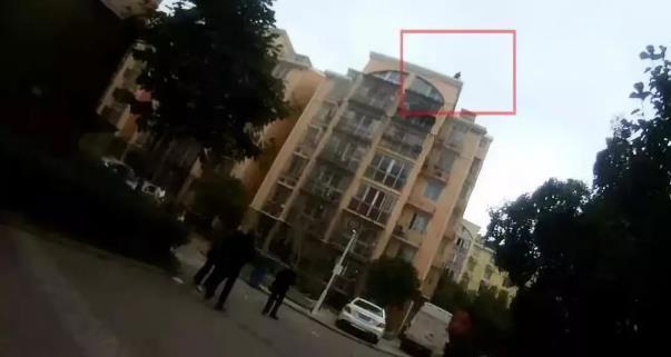 大妈要跳楼,民警一把抱住:快下来,我恐高,别以为警察什么都不