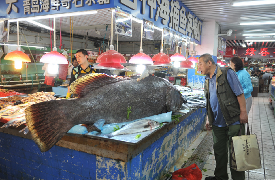 山东 青岛 海鲜市场现305斤 巨型石斑鱼 -尚一网-