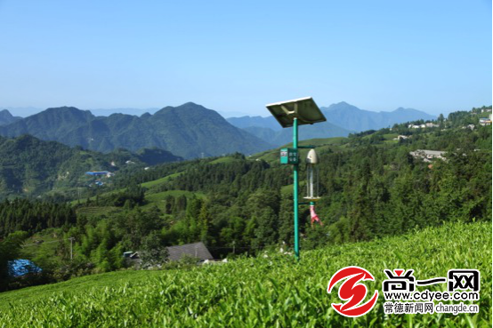 北纬30度,地球上一条神秘的纬度,这里集中了人类文明的众多发源地。而常德作为世界性的好茶黄金产地之一,就在这个纬度里。 常德古称武陵,这里四季分明,气候宜人,武陵山脉、雪峰山脉环饲左右,沅澧两水破峡而入,八百里洞庭烟波浩渺。天地之间,层峦叠嶂,水汽氤氲,云雾缭绕。独特而优质的气候条件特别适合茶叶种植,目前常德现有标准茶园30万亩,是湖南省最大的茶业产区。 2016年初,常德首次提出茶船古道文化概念,得到了国内外的广泛认可。今年在杭州举行的首届中国国际茶叶博览会上,中共中央总书记、